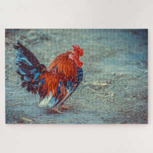 Chicken in a farm jigsaw puzzle