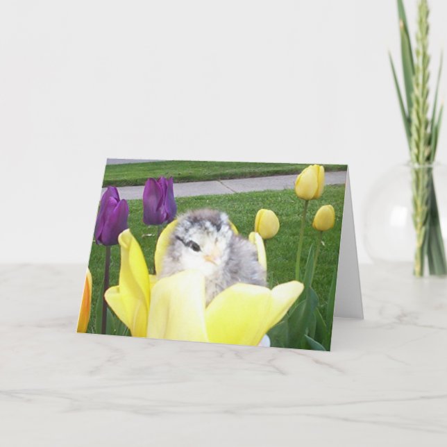 chicken in a tulip holiday card (Front)