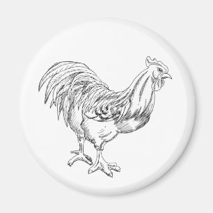 Chicken in Pen & Ink Magnet