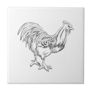 Chicken in Pen & Ink Tile