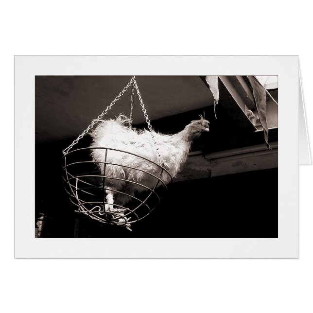 Chicken in the Basket (Front Horizontal)