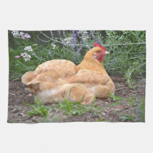 Chicken Kitchen Towel