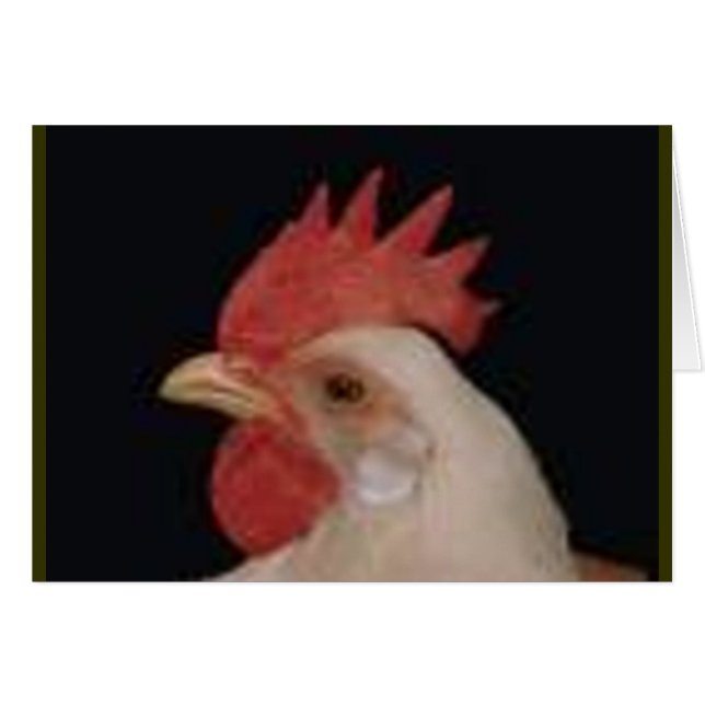Chicken Love (Front Horizontal)