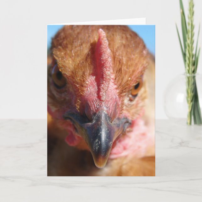 Chicken Macro Photography Portrait Card (Front)