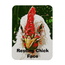 Chicken Magnet