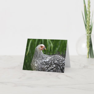 Chicken Notecard
