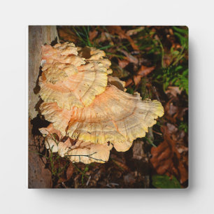 Chicken of the Woods Plaque