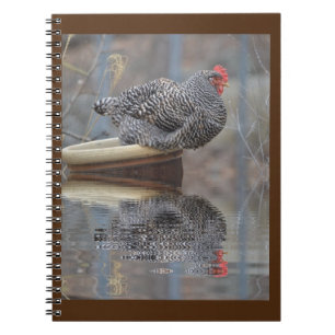 Chicken On Flowerpot Notebook