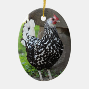 Chicken Ornament