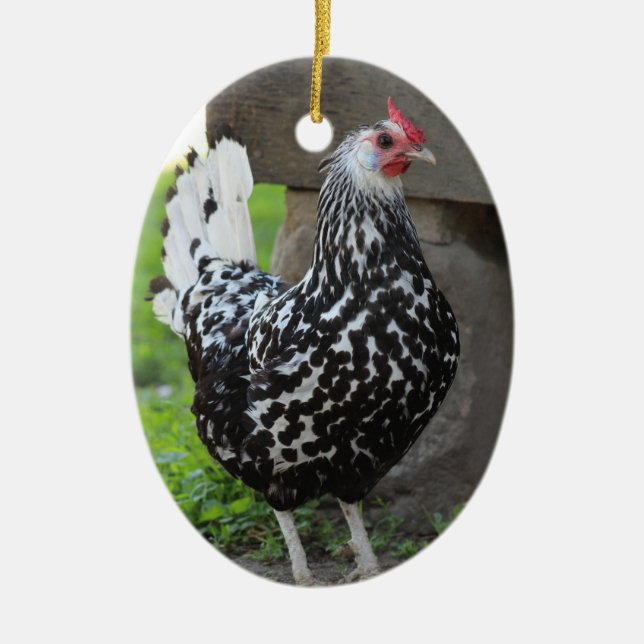 Chicken Ornament (Front)