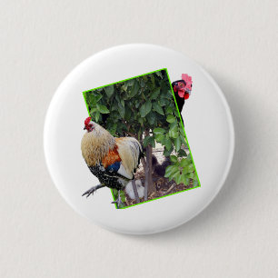 Chicken Peekaboo Design, 6 Cm Round Badge