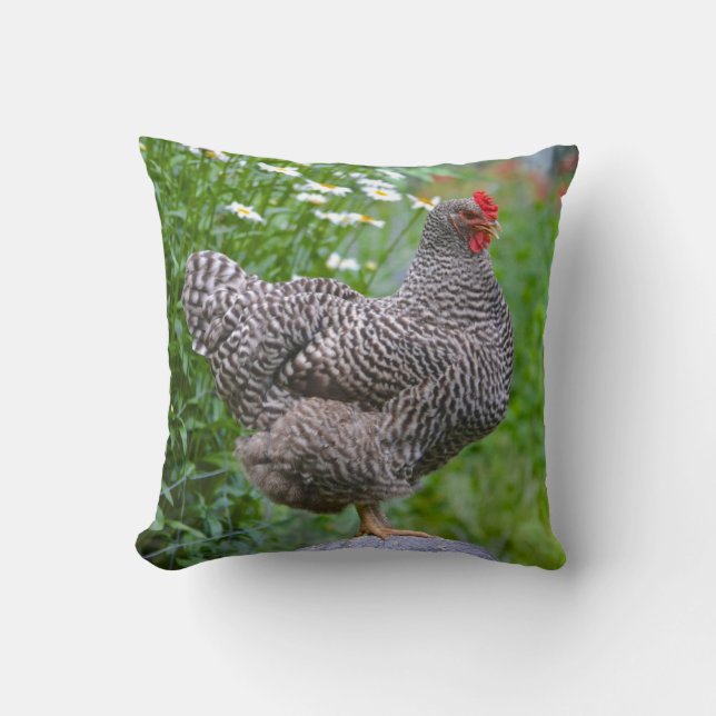 Chicken Pillow (Front)