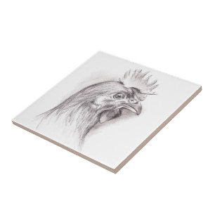 Chicken Portrait in Charcoal Tile