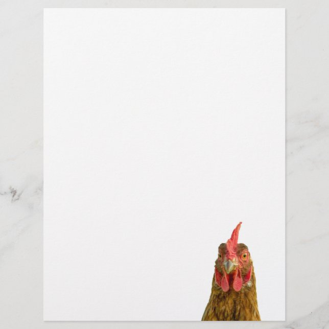 Chicken Portrait Letterhead (Front)