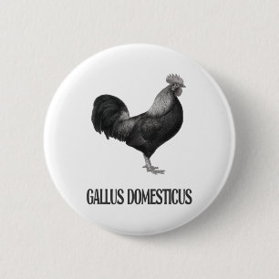 Chicken Poultry Design _1  6 Cm Round Badge