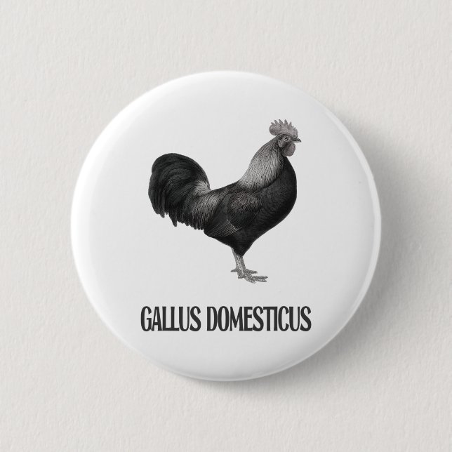Chicken Poultry Design _1  6 Cm Round Badge (Front)