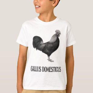 Chicken Poultry Design _1 T-Shirt
