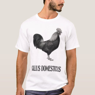 Chicken Poultry Design _1 T-Shirt