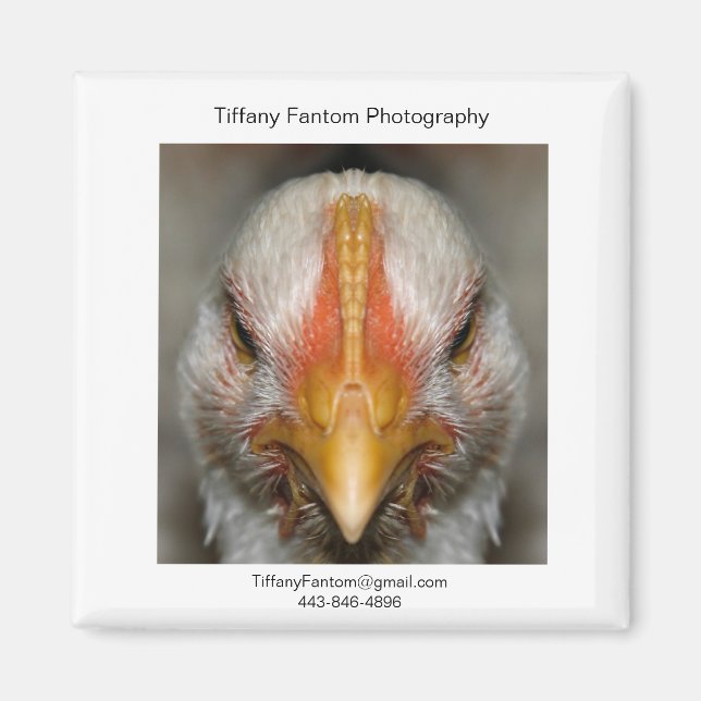 Chicken Promo Piece Magnet (Front)