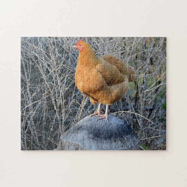 Chicken Puzzle (Horizontal)