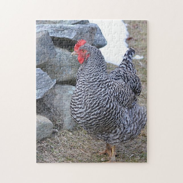 Chicken Puzzle (Vertical)