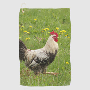 chicken, rooster, animal, bird, farm, agriculture, golf towel