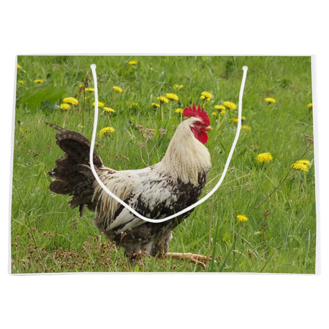 chicken, rooster, animal, bird, farm, agriculture, large gift bag (Front)