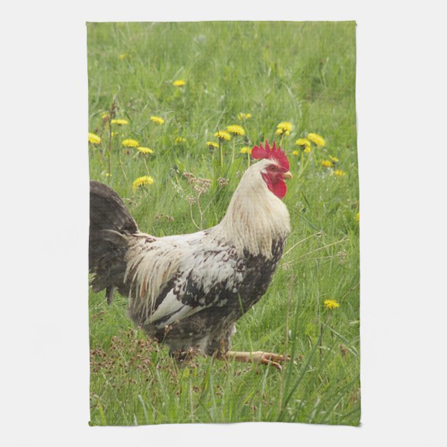 chicken, rooster, animal, bird, farm, agriculture, tea towel (Vertical)