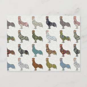 Chicken Rooster Colourful Pattern Farm Postcard