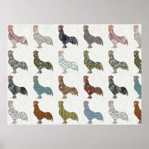 Chicken Rooster Colourful Pattern Farm Poster