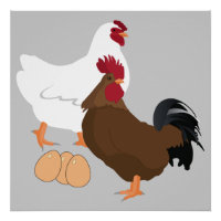 Chicken Rooster Eggs Poster (20"x20")