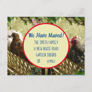 Chicken Rooster New Address Postcard We Are Moving
