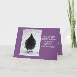 Chicken secret agent Birthday card