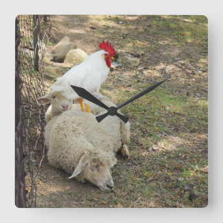 Chicken Sitting on a Sheep Clock