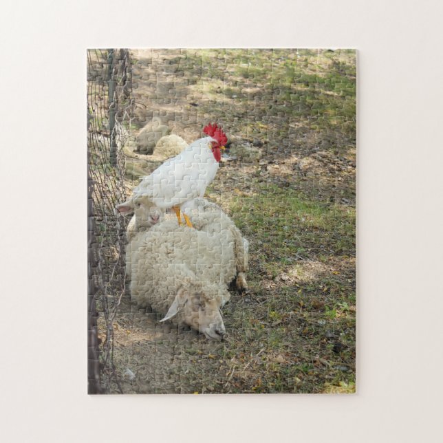 Chicken Sitting on a Sheep Puzzle (Vertical)
