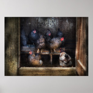 Chicken - The Hen House Poster