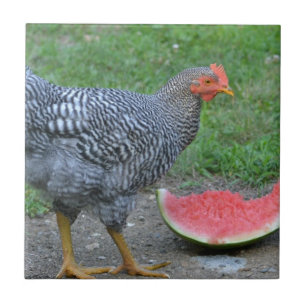 Chicken Tile