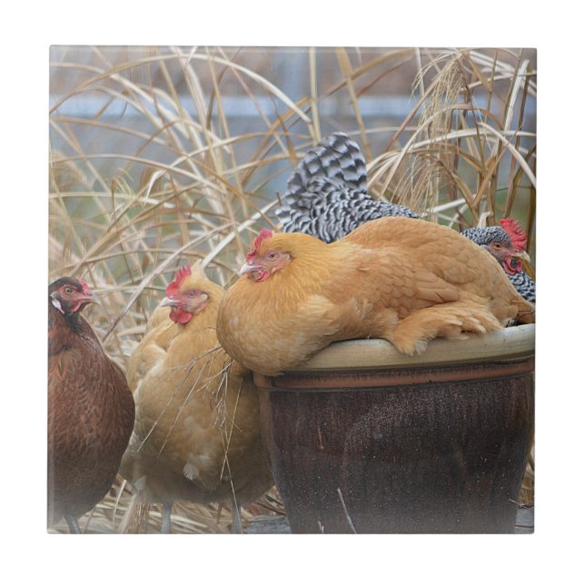 Chicken Tile (Front)