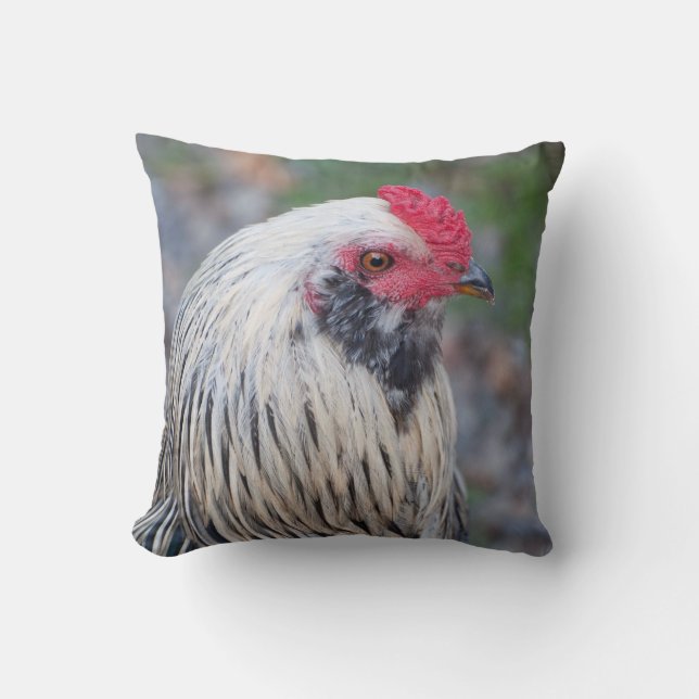 Chicken Up Close and Personal! Cushion (Front)