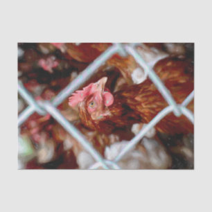 Chicken Vintage Style Country Farm Hen Tissue Paper