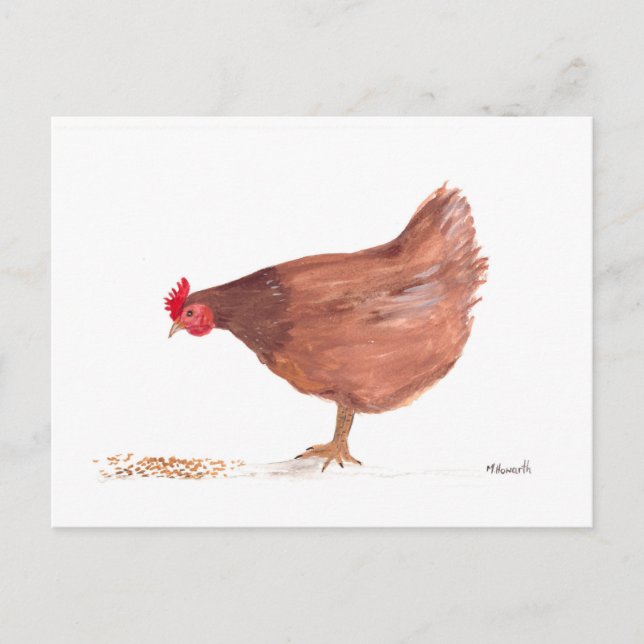 Chicken watercolor painting hen art postcard (Front)