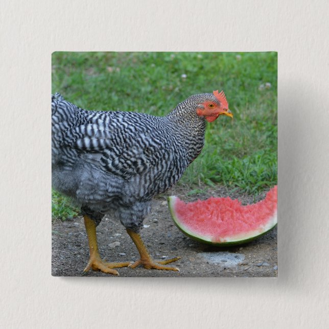 Chicken Watermelon Button (Front)