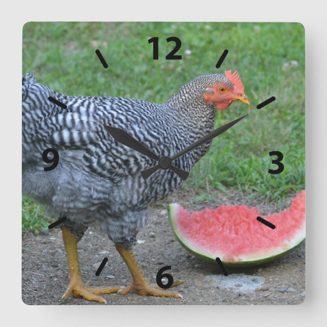 Chicken Watermelon Wall Clock (Front)