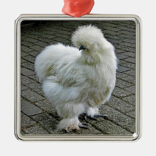 Chicken White Silkie Photo Metal Tree Decoration (Front)