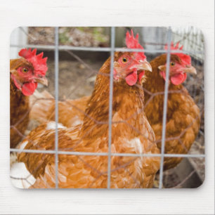 Chicken Wire Mouse Mat