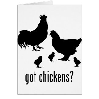 Chickens