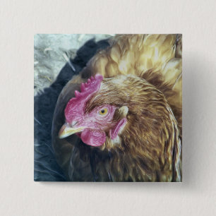 CHICKENS 15 CM SQUARE BADGE