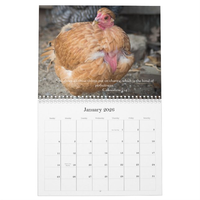 Chickens 2014 ( With Bible Passages ) Calendar (Jan 2026)