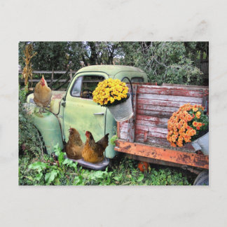 Chickens and old pick up truck postcard