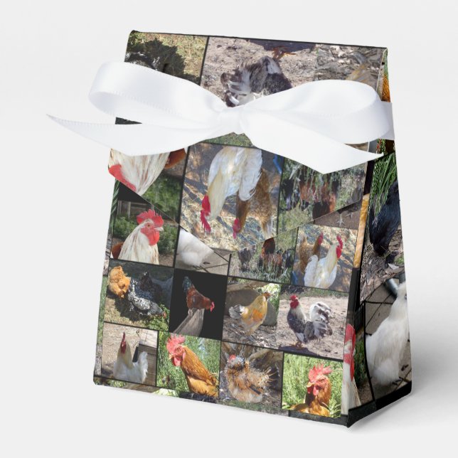 Chickens And Roosters Picture logo, Favour Box (Front Side)